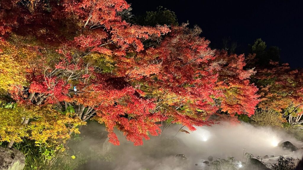 なばなの里　子連れ
