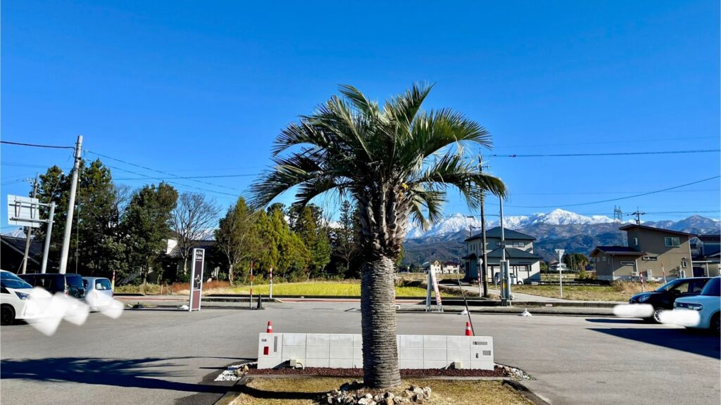 ニクエデン　ランチ